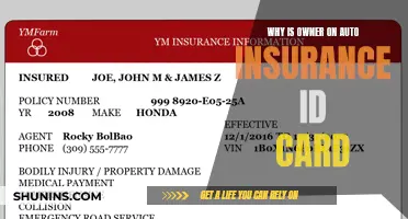 Auto Insurance ID Cards: Owner Information and Its Importance