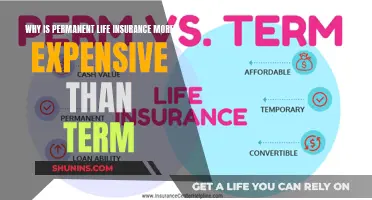 Understanding the Cost Difference: Term vs. Permanent Life Insurance