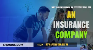 Reinsurance: A Strategic Risk Management Tool for Insurance Companies
