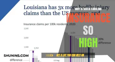 South Carolina's Sky-High Insurance Rates: Unraveling the Mystery