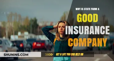 State Farm Insurance: Top Benefits and Reliable Coverage Explained