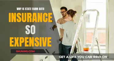 State Farm Auto Insurance: Expensive, But Why?