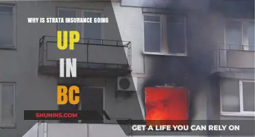 Strata Insurance Crisis in BC: What's Causing the Spike?
