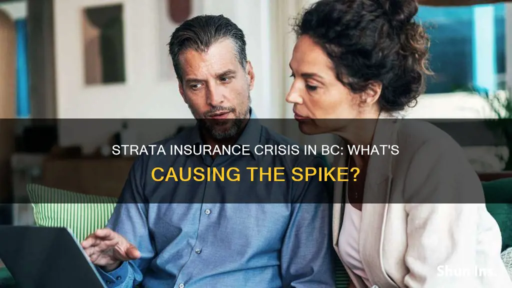 why is strata insurance going up in bc