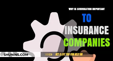 Why Subrogation Matters: Insurance Companies' Key to Recovery and Profitability