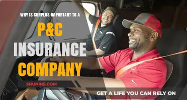 Surplus: The Financial Safety Net for P&C Insurance Companies