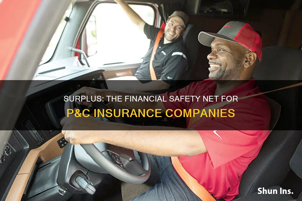 why is surplus important to a p&c insurance company