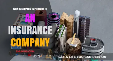 Surplus Ensures Stability: Why It’s Vital for Insurance Companies
