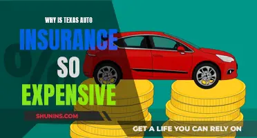 Texas Auto Insurance: Why Is It So Expensive?