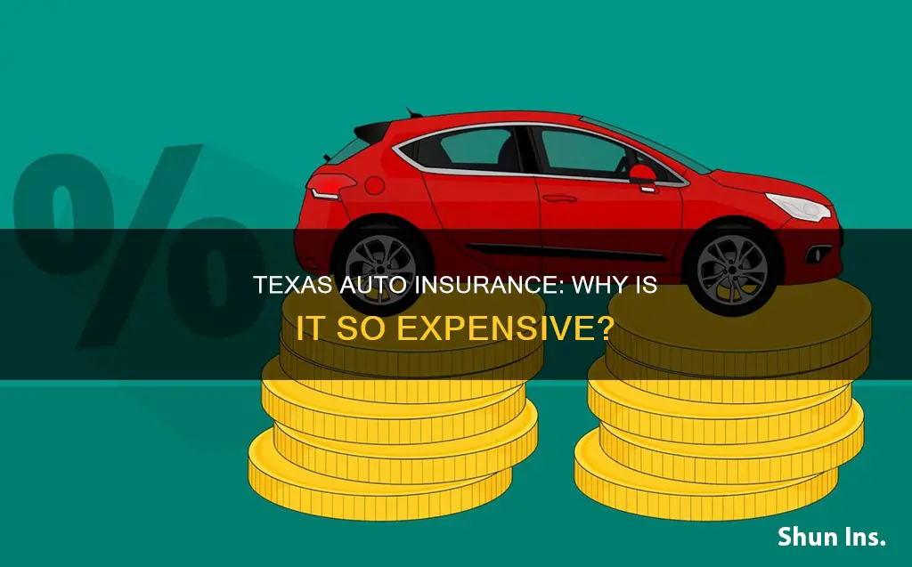 why is texas auto insurance so expensive