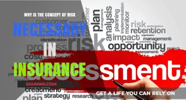 Understanding Risk: The Core of Insurance