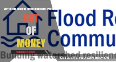 Flood Insurance: Federal Program Bankrupt?