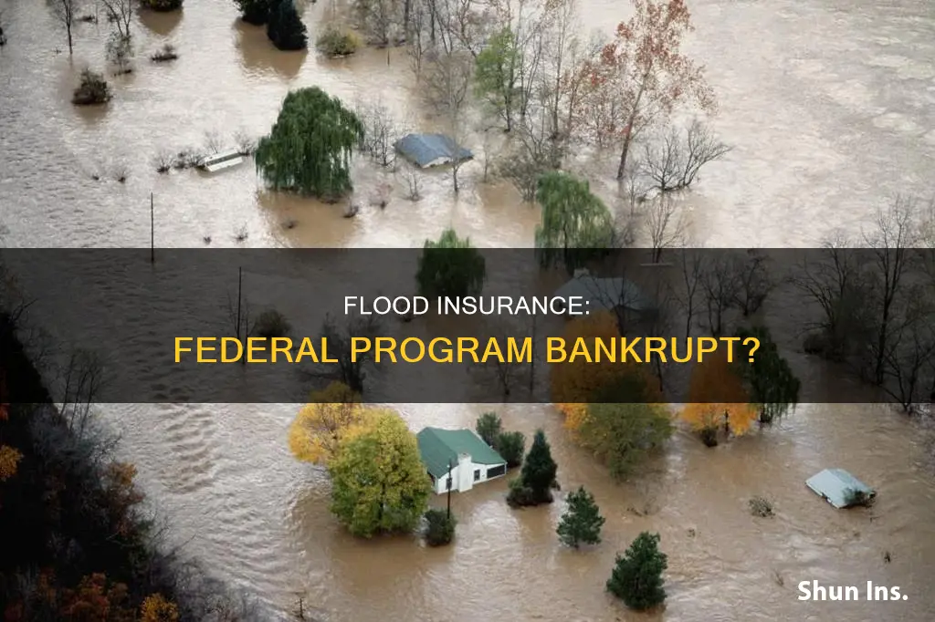 why is the federal flood insurance program out of money