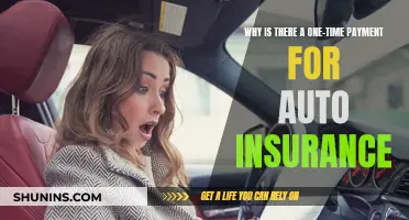 Auto Insurance: One-Time Payment, Lifetime Benefits