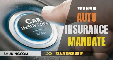 Auto Insurance Mandate: Safety, Security, and Financial Protection