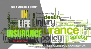 Valuation's Vital Role: Securing Your Future with Life Insurance