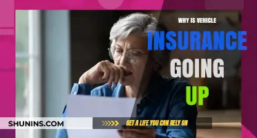 Vehicle Insurance Rates: Rising Costs and Why