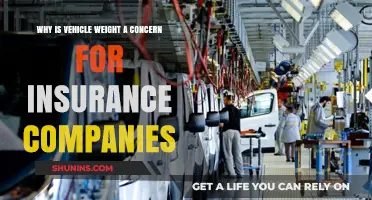 Vehicle Weight's Impact: Insurance Concerns and Cost Implications Explained