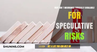 Speculative Risks: Why Insurance Isn't an Option