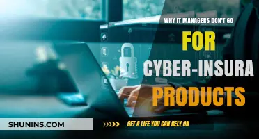 IT Managers: Cyber-Insurance Products Aren't Worthwhile