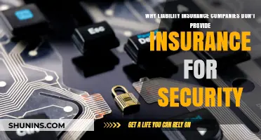 Why Liability Insurers Avoid Security Risks: Uncovering the Coverage Gap