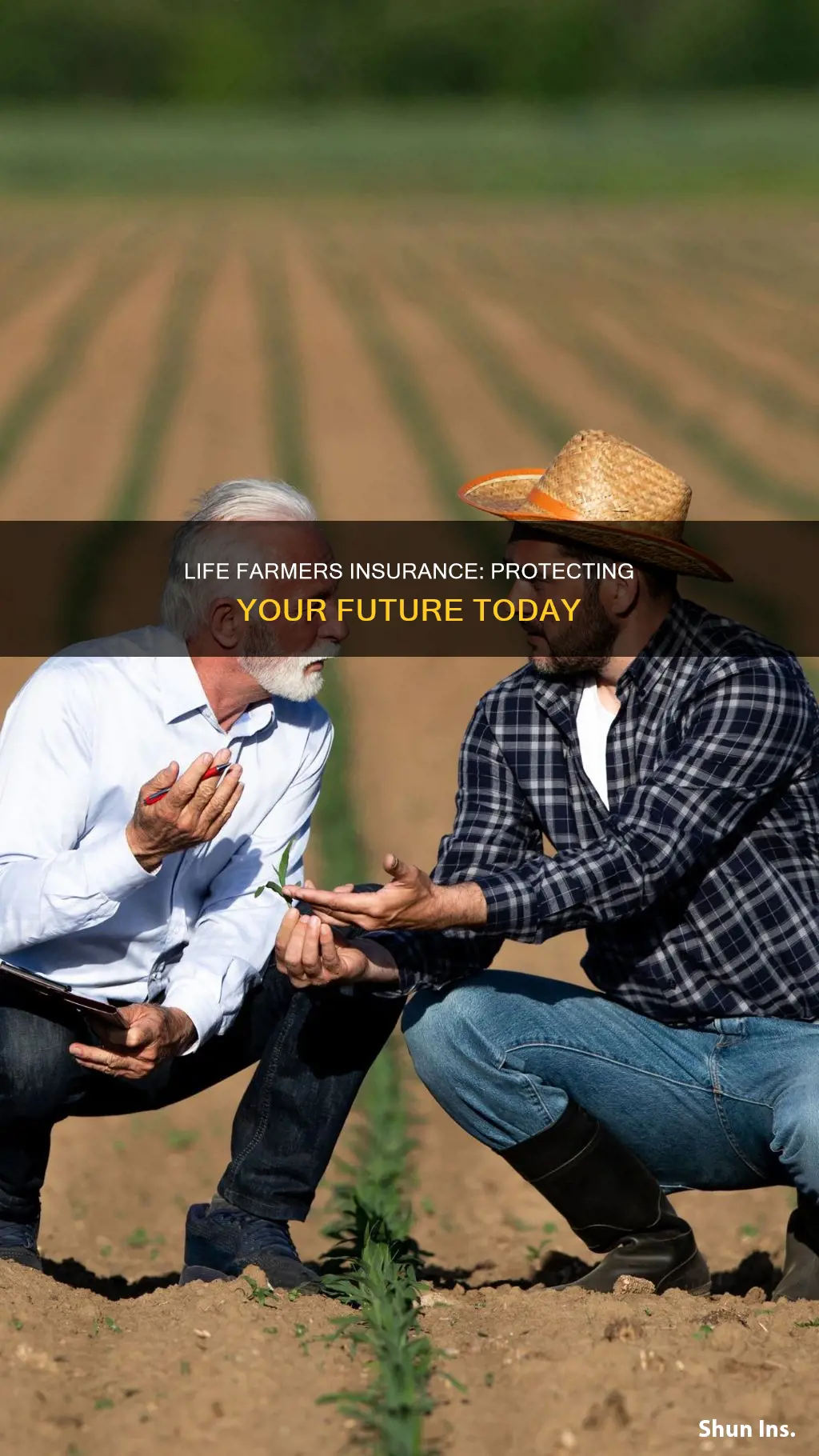 why life farmers insurance