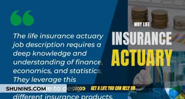 Why Life Insurance Actuaries are Essential for Financial Security