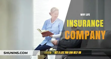 Why Life Insurance Companies Are Essential for Financial Security