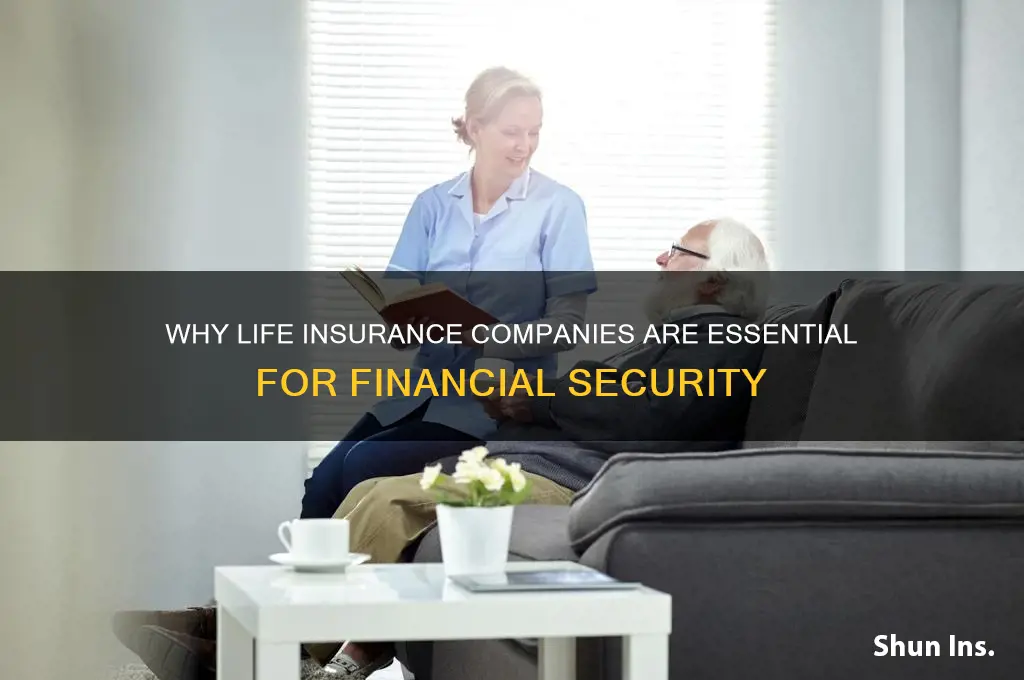 why life insurance company