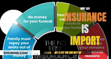 Life Insurance: Your Safety Net for a Secure Future