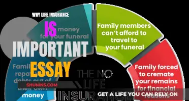 The Ultimate Guide: Why Life Insurance Matters