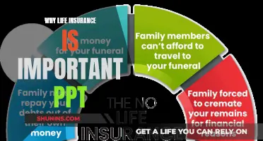 Life Insurance: Protecting Your Future, Securing Your Legacy