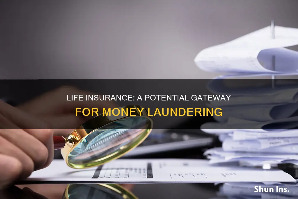 why life insurance is risk for money laundering