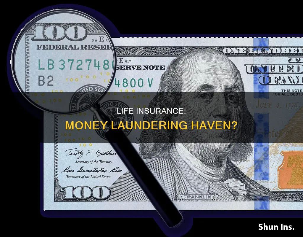 why life insurance is risk for money laundering