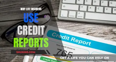 Unveiling the Role of Credit Reports in Life Insurance