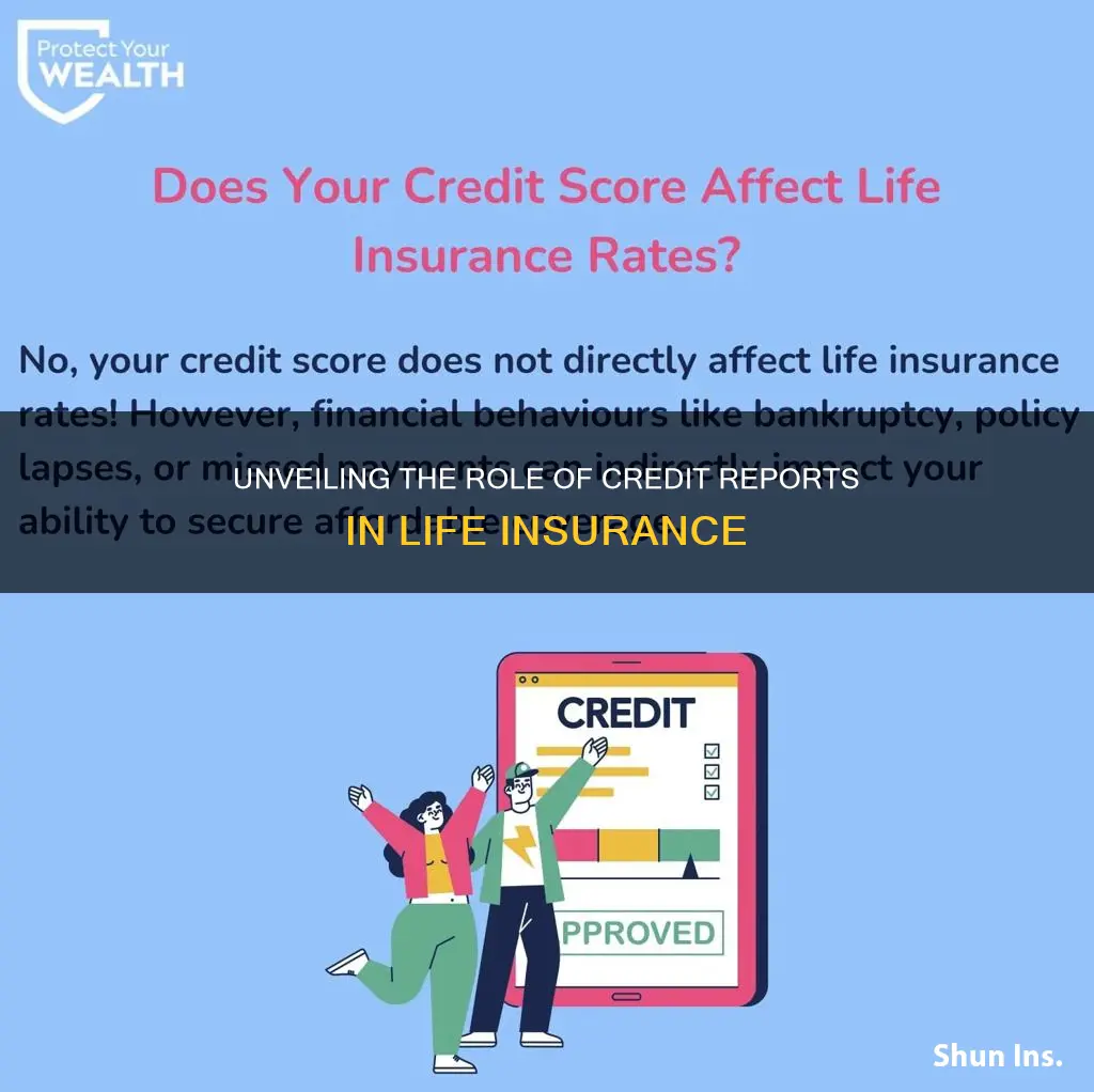 why life insurers use credit reports