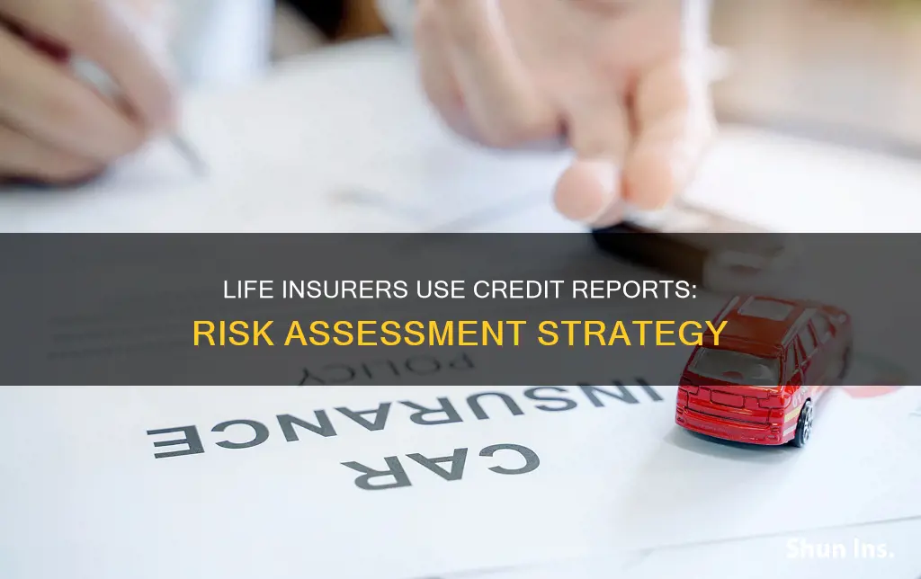 why life insurers use credit reports