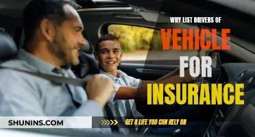 Insurance: Listing Vehicle Drivers Matters