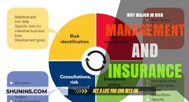 Risk Management and Insurance: A Career of Stability