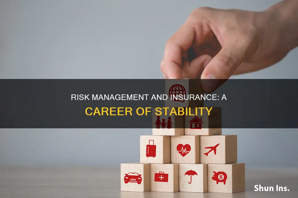 why major in risk management and insurance