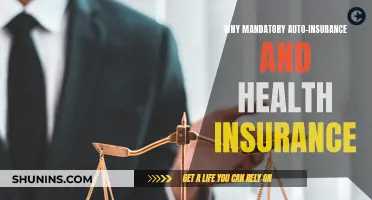 Auto and Health Insurance: Why It's Mandatory