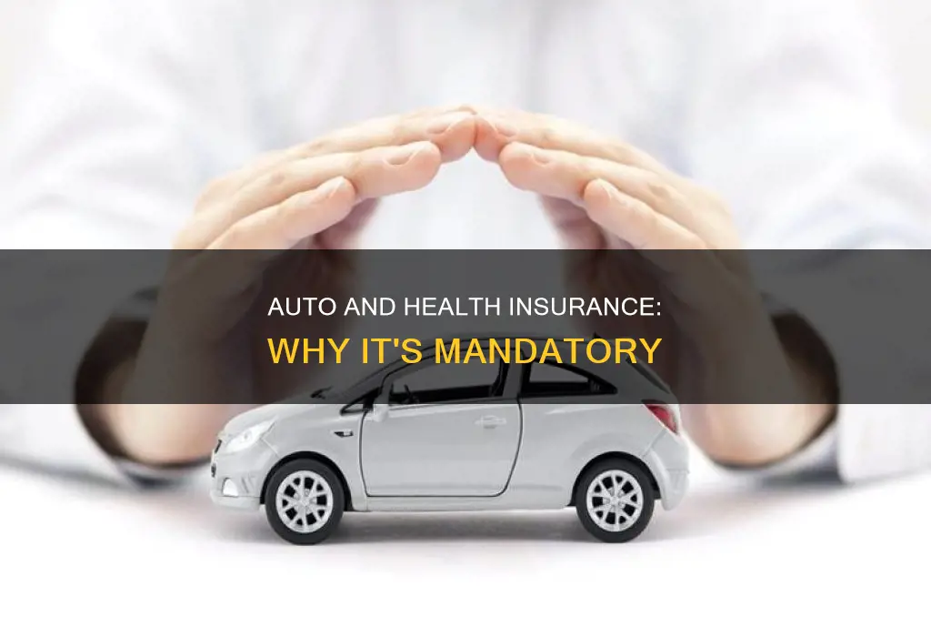 why mandatory auto-insurance and health insurance