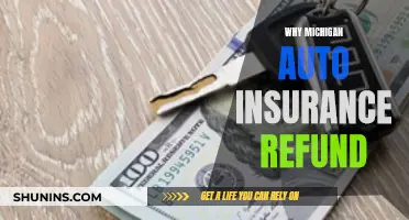 Auto Insurance Refunds: Michigan's Unique Story