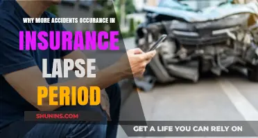 Insurance Lapses: Accidents and Their Causes
