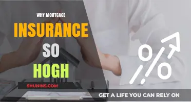 Mortgage Insurance: Why the High Cost?
