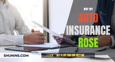 Auto Insurance Premiums: Rising Costs, Why?