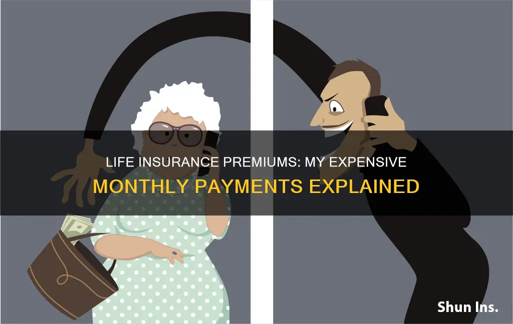 why my life insurance is 1000 per month at 64