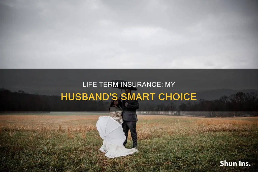 why my new husband wants life term insurance