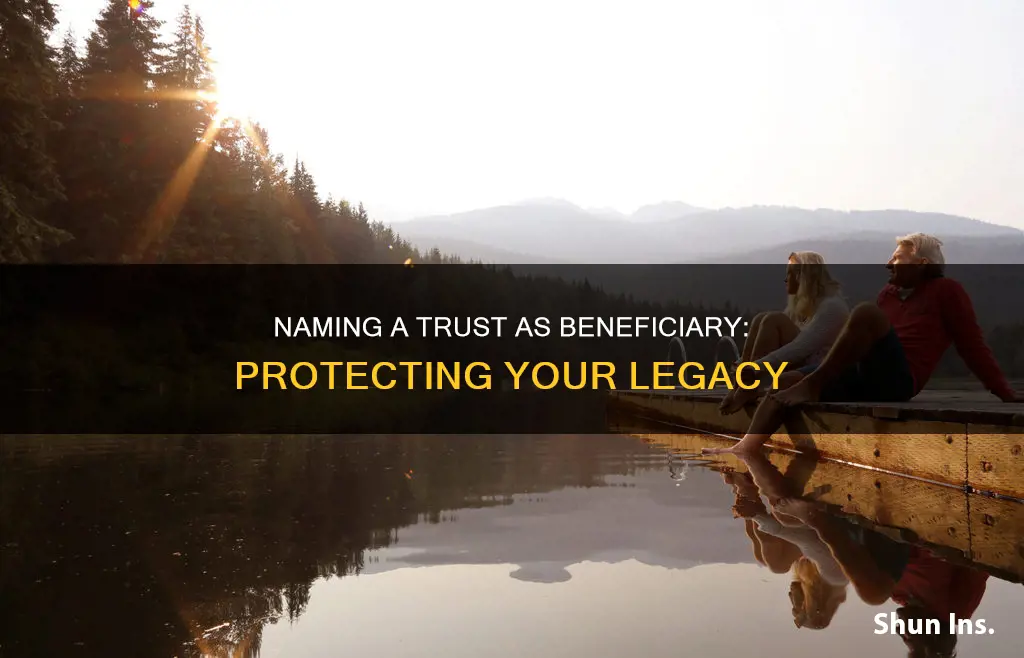 why name a trust as a life insurance beneficiary