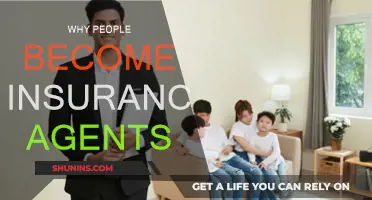 Lucrative Career Choice: Insurance Agents